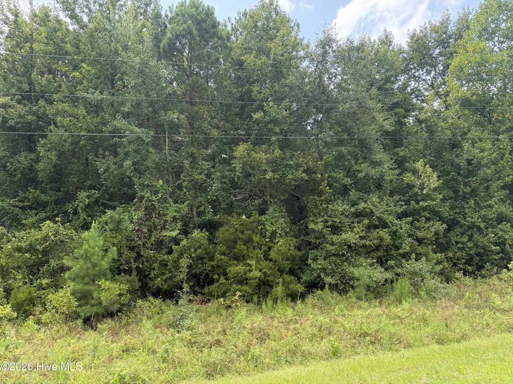 0 Old Sandhill Road Edward, NC 27821