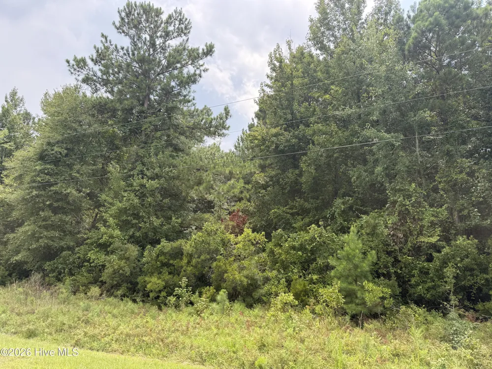 0 Old Sandhill Road Edward, NC 27821