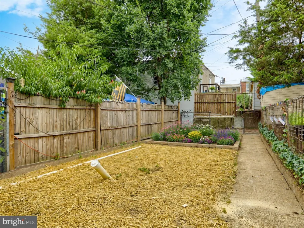 719 BERRY STREET Baltimore, MD 21211