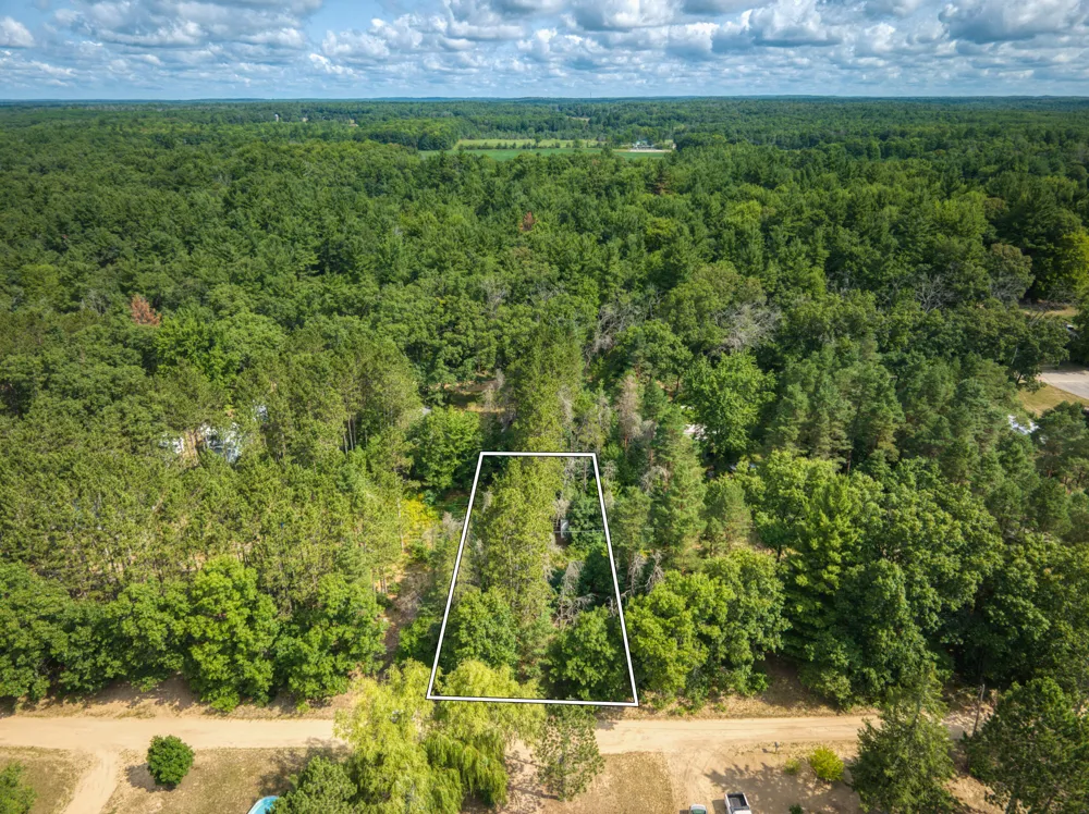 6313 E 29th Street White Cloud, MI 49349