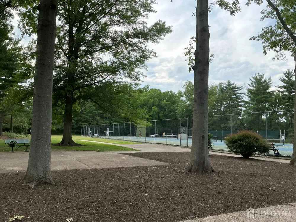 1306 Sayre Drive Plainsboro, NJ 08540