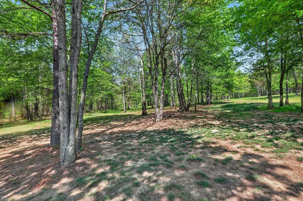 1625 River Bluffs Drive Jasper, TN 37347