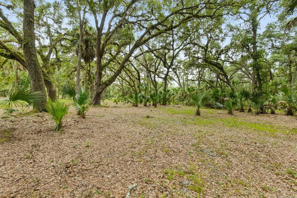 2680 W COUNTY ROAD 2006 W Bunnell, FL 32110