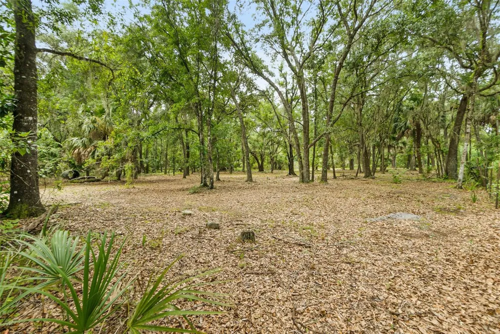2680 W COUNTY ROAD 2006 W Bunnell, FL 32110