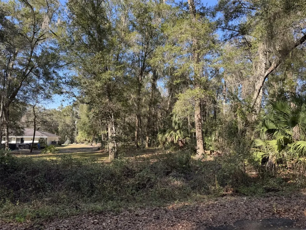 SEQUOIA LOOP TRACK Ocklawaha, FL 32179