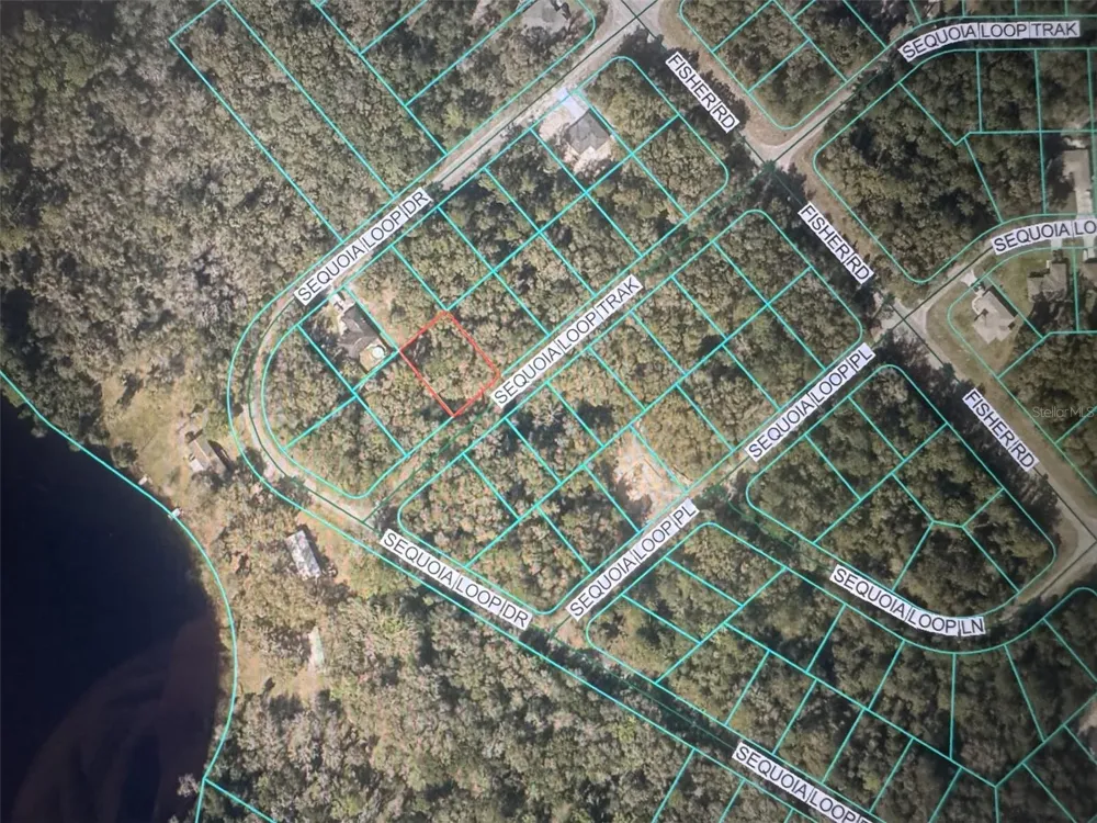 SEQUOIA LOOP TRACK Ocklawaha, FL 32179
