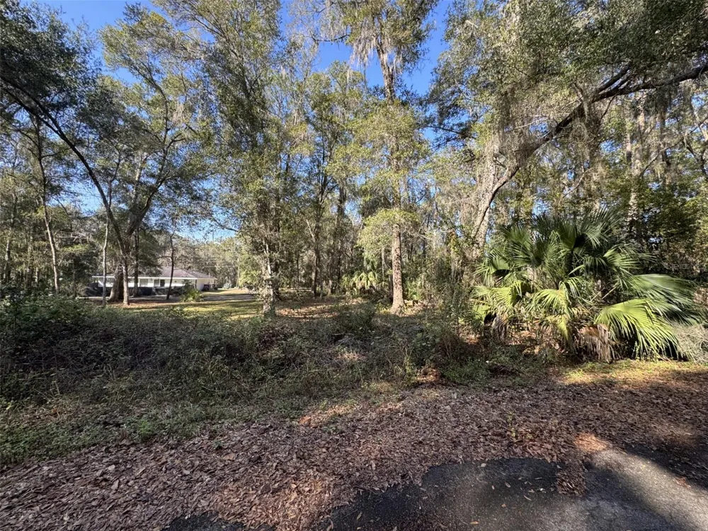 SEQUOIA LOOP TRACK Ocklawaha, FL 32179