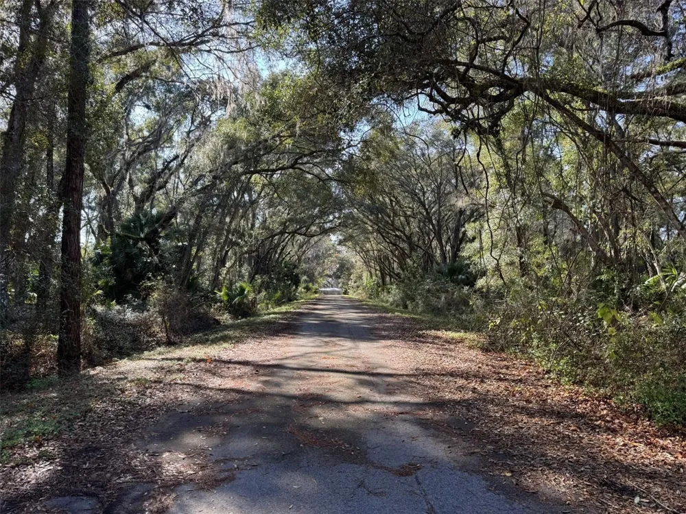 SEQUOIA LOOP TRACK Ocklawaha, FL 32179