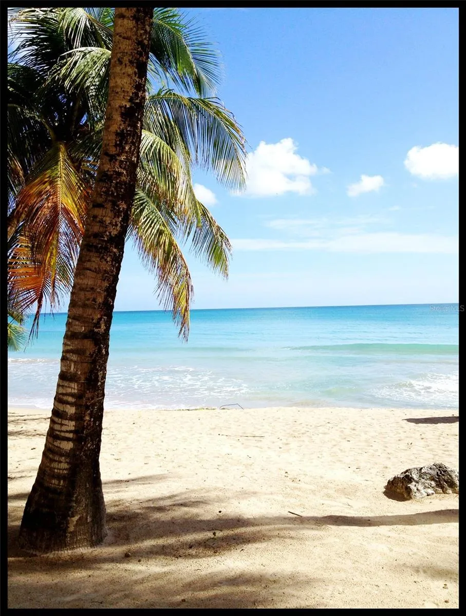 3511 ISLA VERDE AVE #204 Carolina, PR 00979