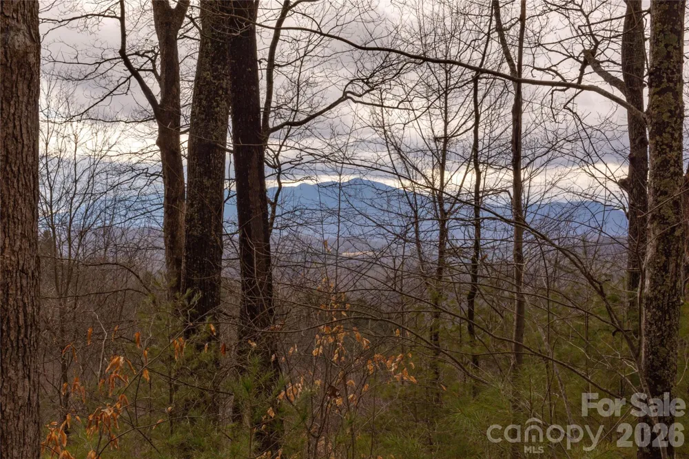 0 Ashland Mountain Road Bakersville, NC 28705