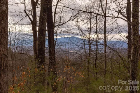 0 Ashland Mountain Road