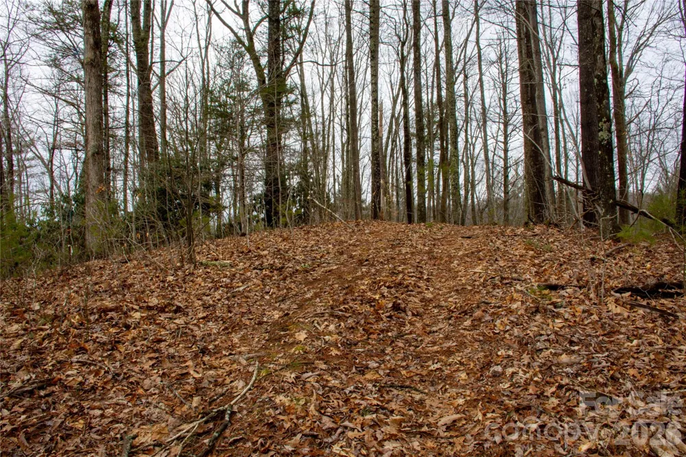 0 Ashland Mountain Road Bakersville, NC 28705