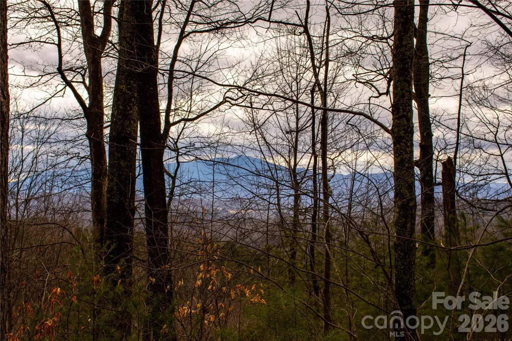 0 Ashland Mountain Road Bakersville, NC 28705