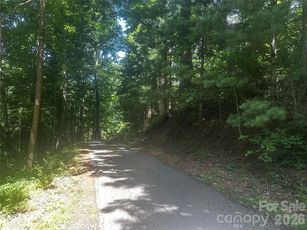 0 Ashland Mountain Road Bakersville, NC 28705