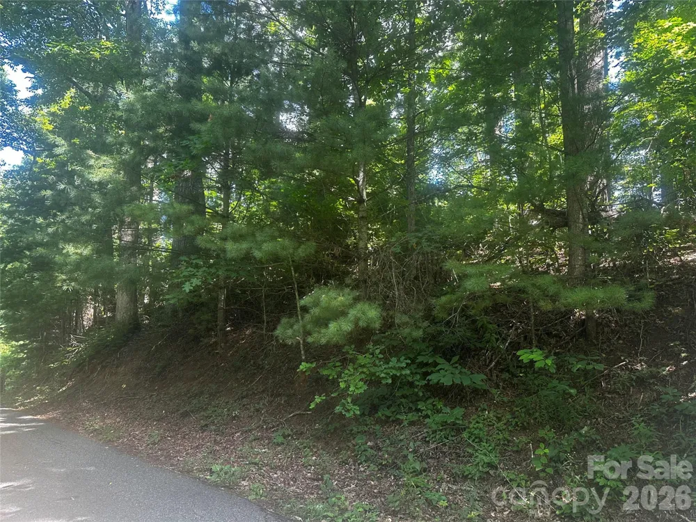 0 Ashland Mountain Road Bakersville, NC 28705