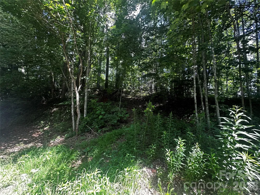 0 Ashland Mountain Road Bakersville, NC 28705