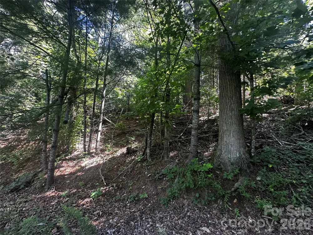 0 Ashland Mountain Road Bakersville, NC 28705