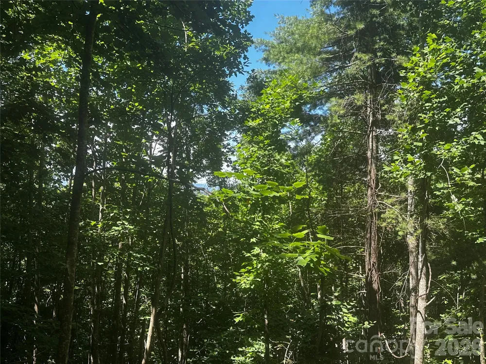 0 Ashland Mountain Road Bakersville, NC 28705