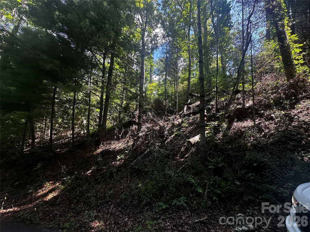 0 Ashland Mountain Road Bakersville, NC 28705