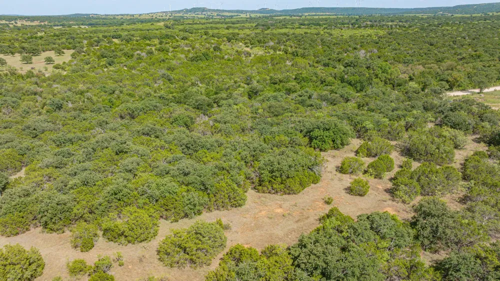 County Road 109 Mingus, TX 76463