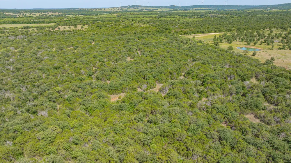 County Road 109 Mingus, TX 76463