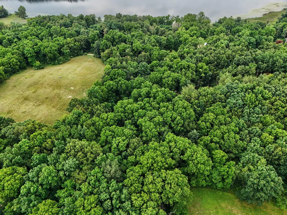 12884 Sharon Hollow Road Manchester, MI 48158