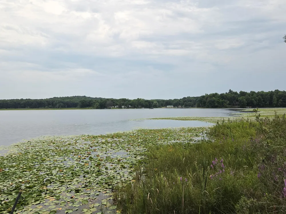 12884 Sharon Hollow Road Manchester, MI 48158