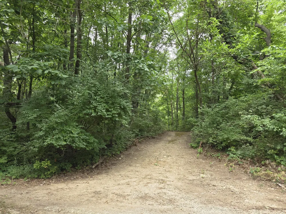 12884 Sharon Hollow Road Manchester, MI 48158