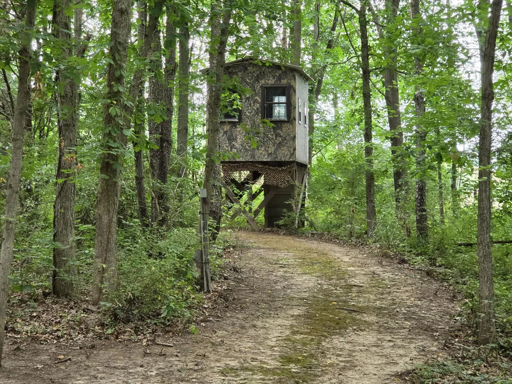 12884 Sharon Hollow Road Manchester, MI 48158