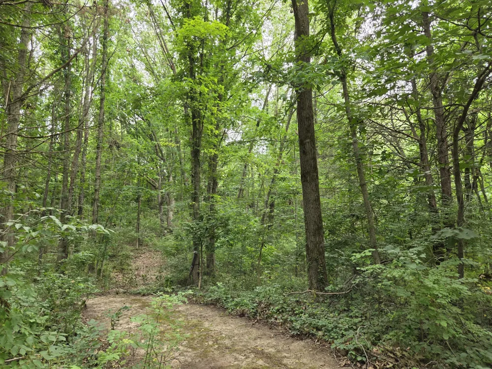 12884 Sharon Hollow Road Manchester, MI 48158
