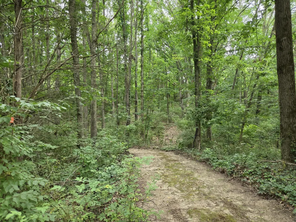 12884 Sharon Hollow Road Manchester, MI 48158