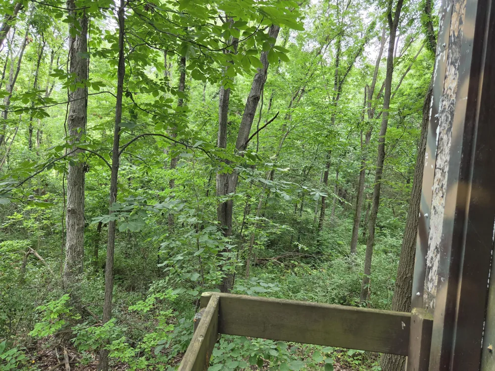 12884 Sharon Hollow Road Manchester, MI 48158