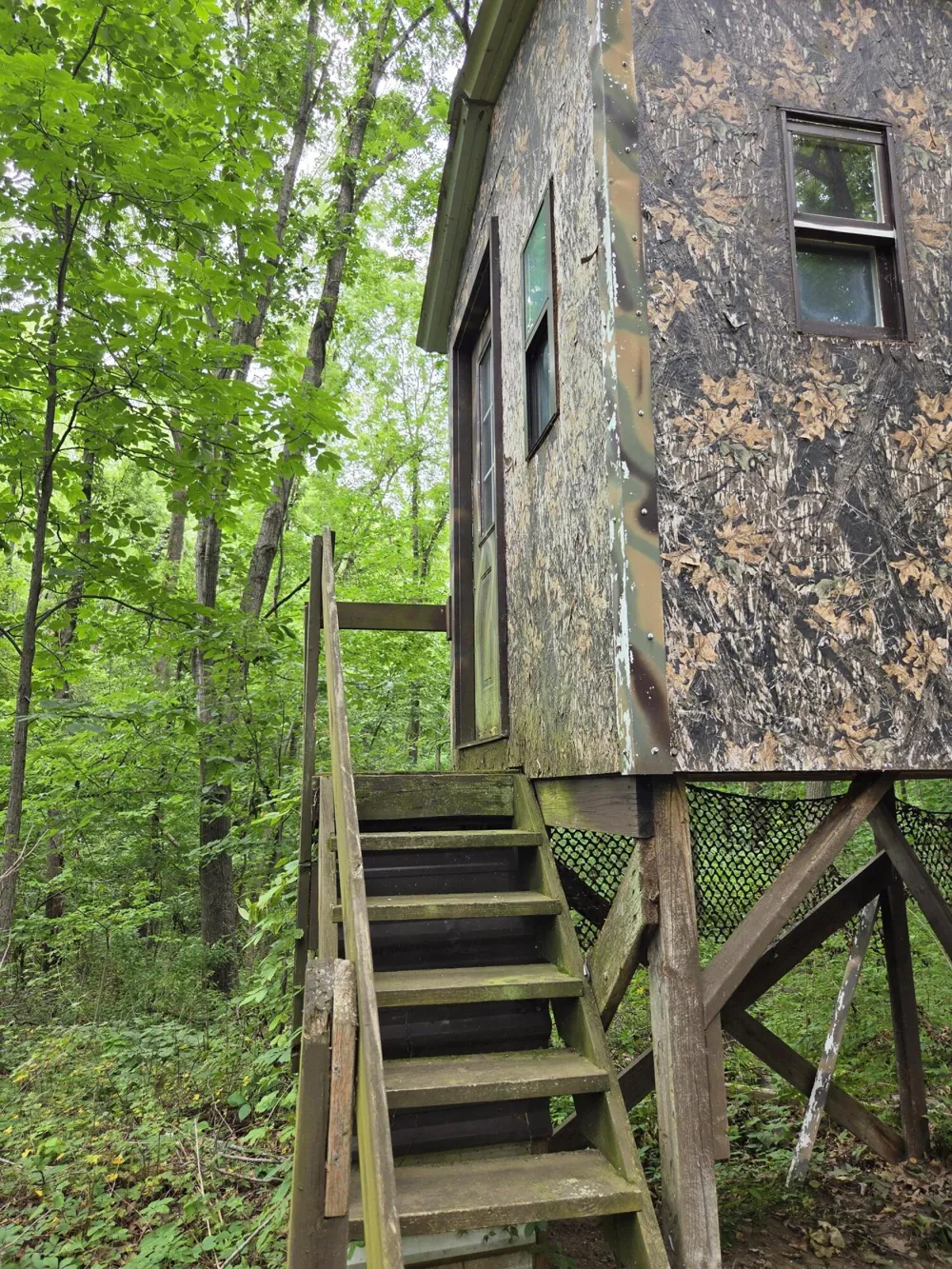 12884 Sharon Hollow Road Manchester, MI 48158