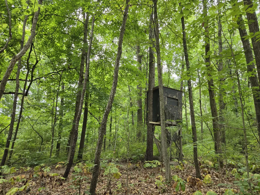 12884 Sharon Hollow Road Manchester, MI 48158