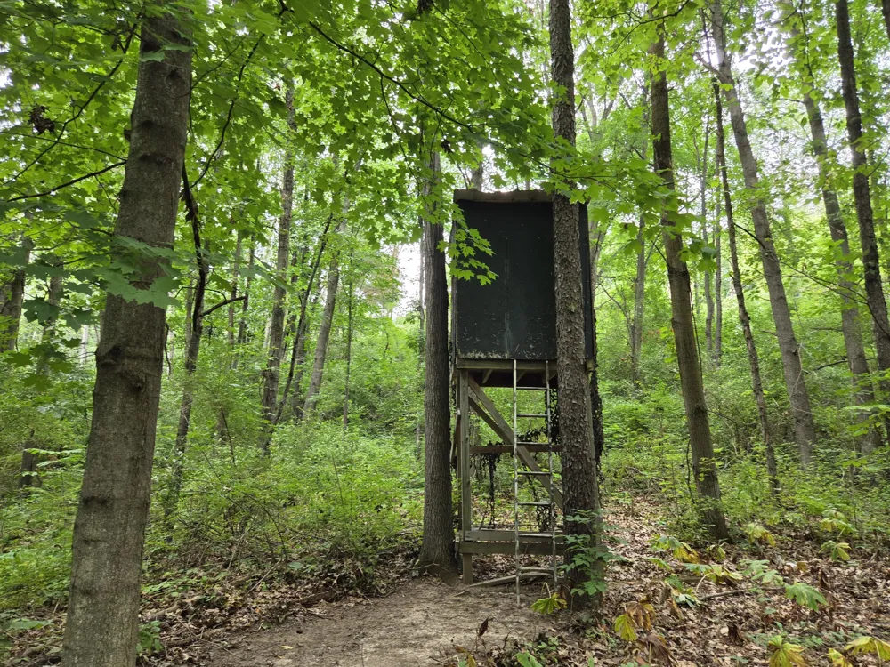 12884 Sharon Hollow Road Manchester, MI 48158