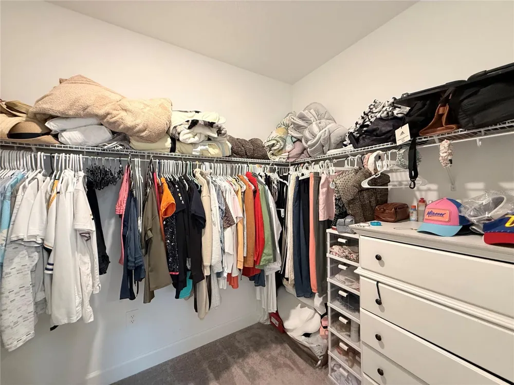 16318 HONEY HARVEST STREET Winter Garden, FL 34787