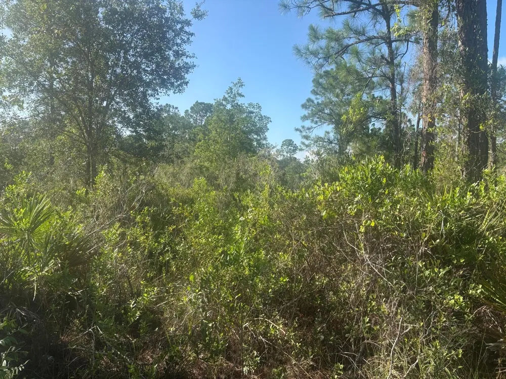 1021 Granger Street Lake Placid, FL 33852