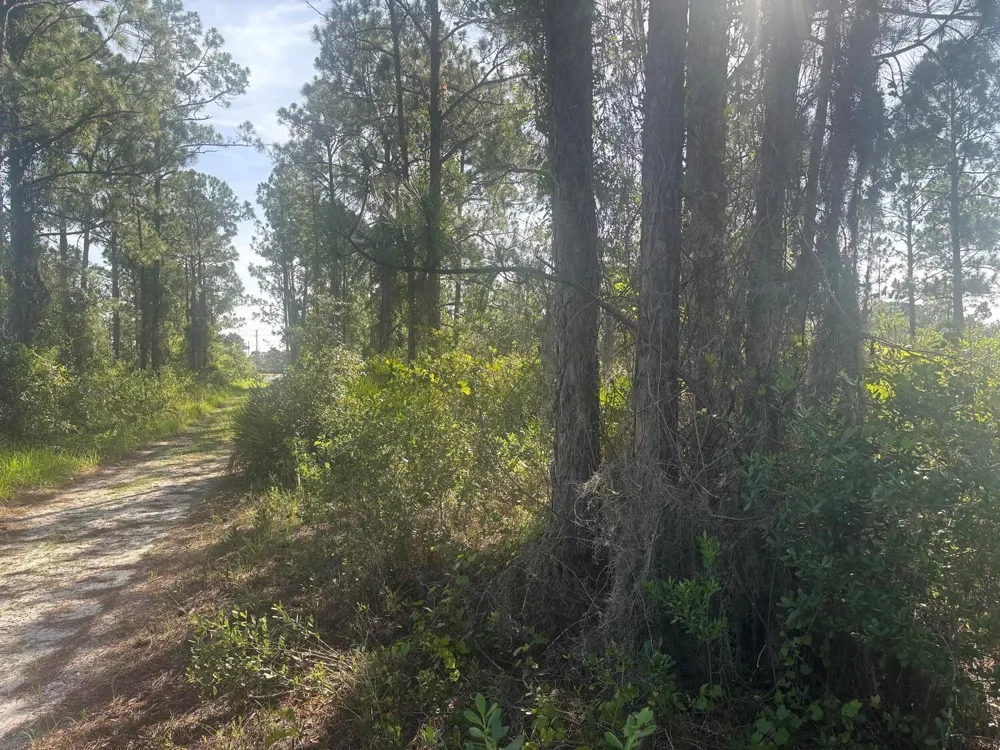 1021 Granger Street Lake Placid, FL 33852