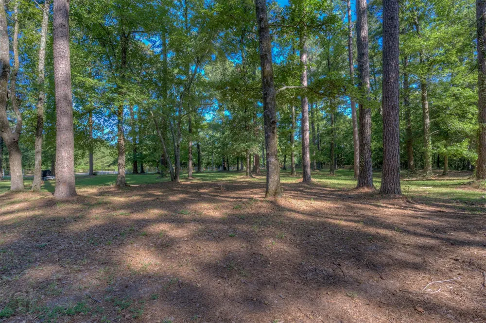 447 Burrow Lane Cotton Valley, LA 71018