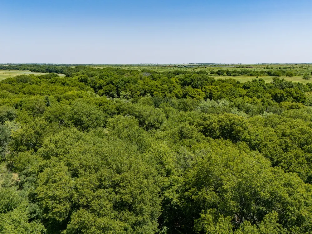 Applegate Rd Bowie, TX 76230
