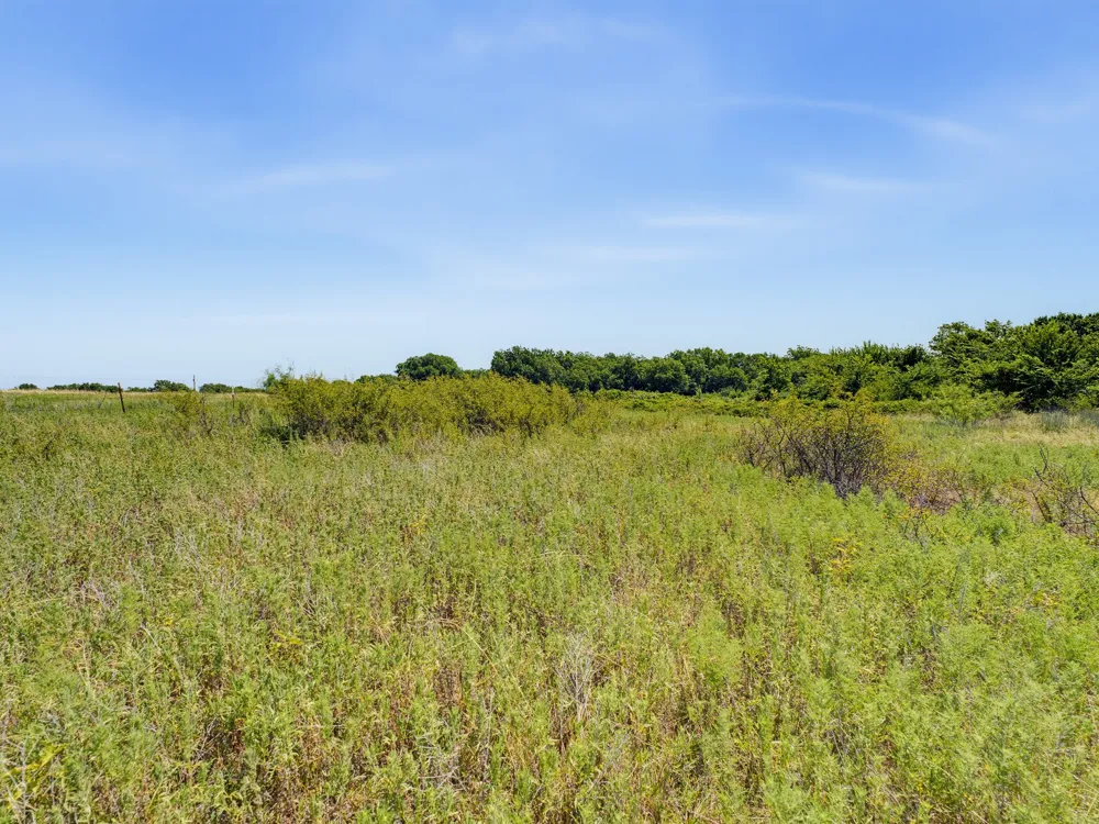 Applegate Rd Bowie, TX 76230