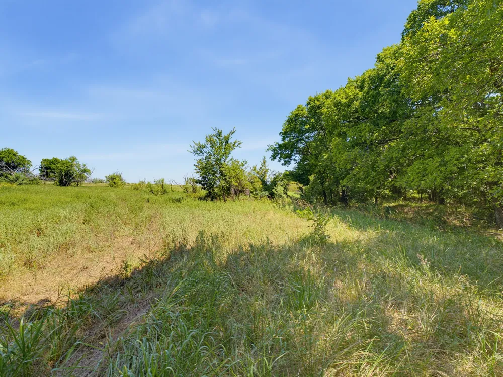 Applegate Rd Bowie, TX 76230