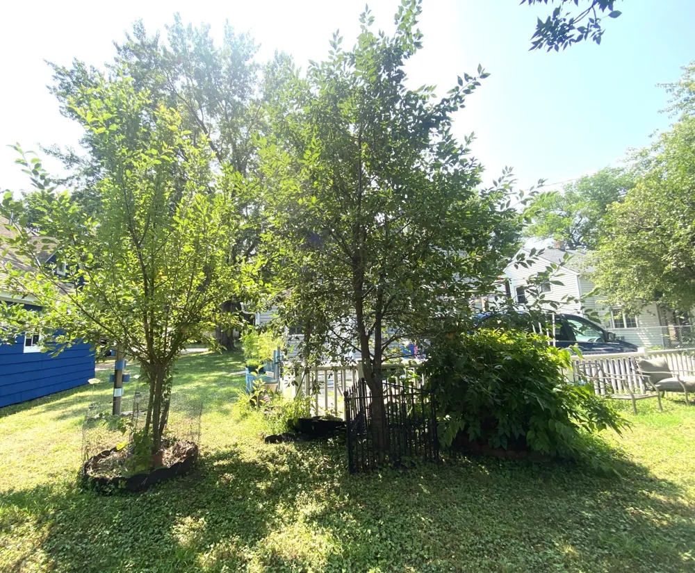 640 11th Street Windom, MN 56101