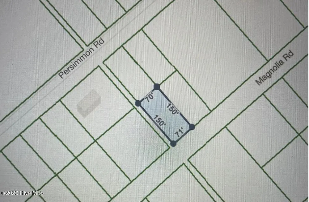 322 & 323 Magnolia Road Boiling Spring Lakes, NC 28461