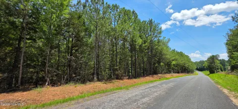 0 Chestnut Ridge Road