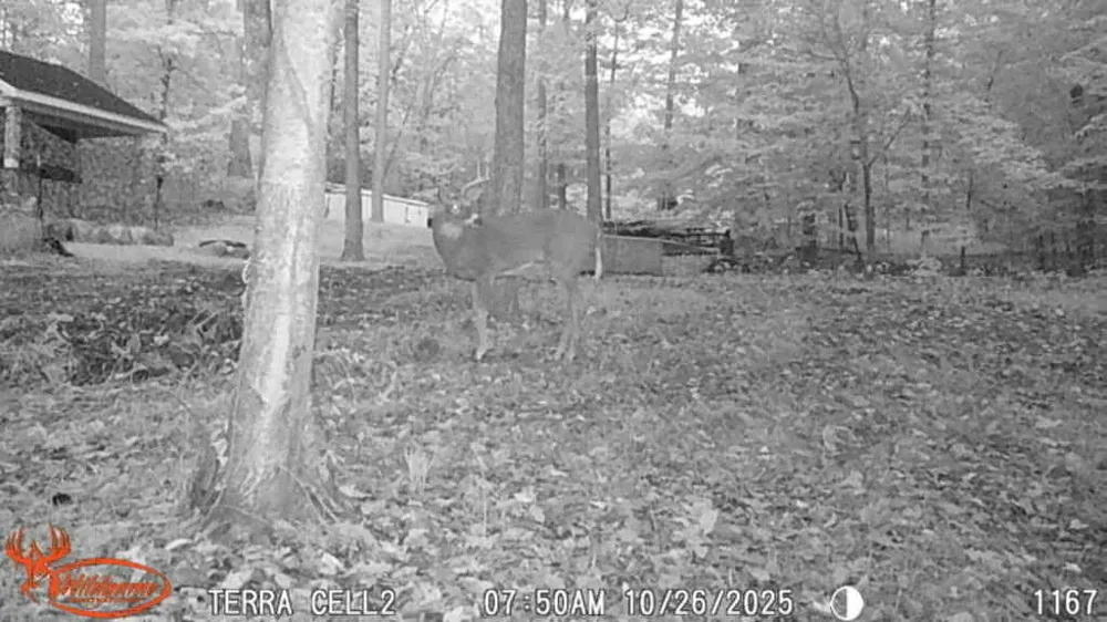8575 Anchor Drive Delton, MI 49046