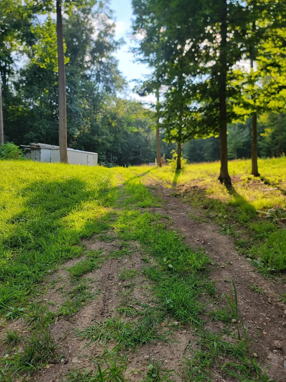 8575 Anchor Drive Delton, MI 49046