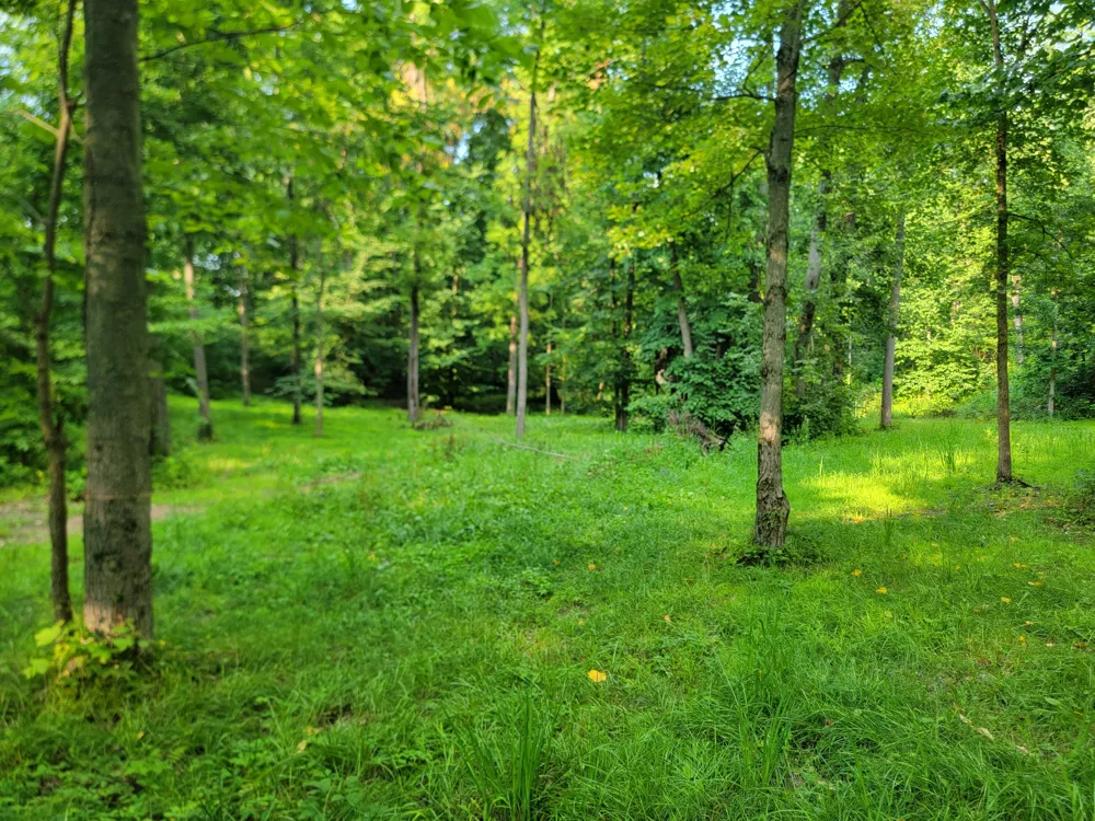 8575 Anchor Drive Delton, MI 49046
