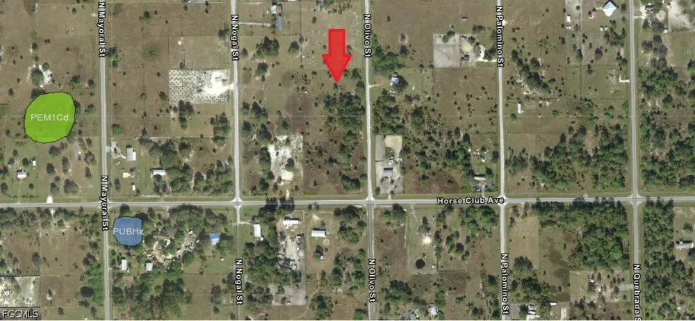 Olivo Street Clewiston, FL 33440
