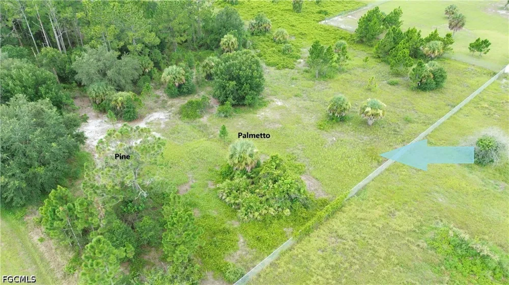 Olivo Street Clewiston, FL 33440